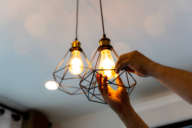 Best Electric Panel Repair  in Florissant, MO